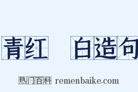 青红皁白造句是什么意思的图片